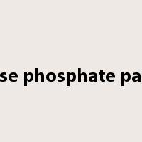 pentose phosphate pathway是什么意思