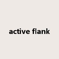 active flank是什么意思
