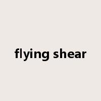 flying shear是什么意思