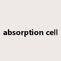 absorption cell是什么意思