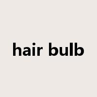hair bulb是什么意思