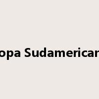 Copa Sudamericana是什么意思