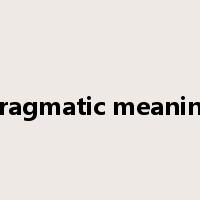 pragmatic meaning是什么意思