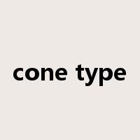 cone type是什么意思