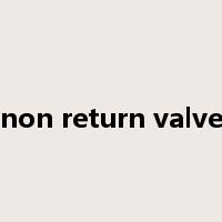 non return valve是什么意思