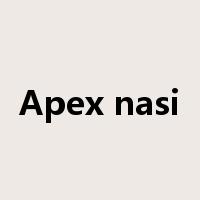 Apex nasi是什么意思