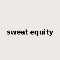 sweat equity是什么意思