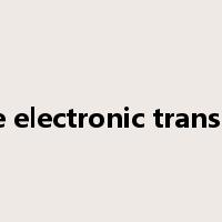 secure electronic transaction是什么意思