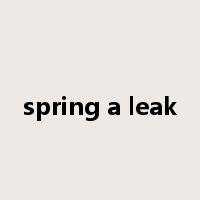 spring a leak是什么意思