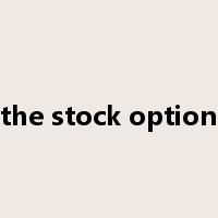 the stock option是什么意思