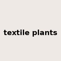 textile plants是什么意思