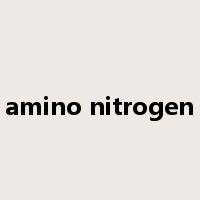 amino nitrogen是什么意思