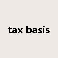 tax basis是什么意思