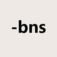 -bns是什么意思