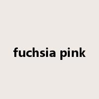 fuchsia pink是什么意思