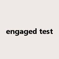 engaged test是什么意思