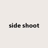 side shoot是什么意思
