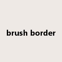 brush border是什么意思
