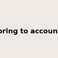 bring to account是什么意思