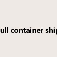 full container ship是什么意思