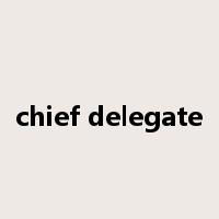 chief delegate是什么意思