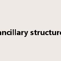 ancillary structure是什么意思
