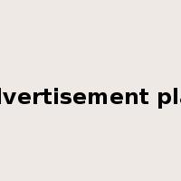 advertisement plan是什么意思