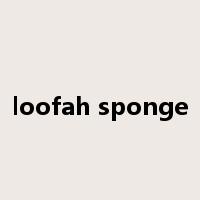 loofah sponge是什么意思