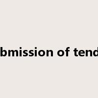 submission of tender是什么意思