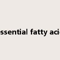 essential fatty acid是什么意思