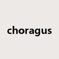 choragus是什么意思