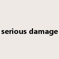 serious damage是什么意思