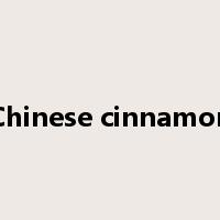 Chinese cinnamon是什么意思