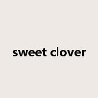 sweet clover是什么意思