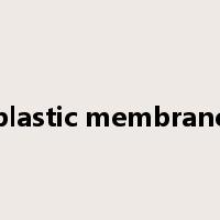 plastic membrane是什么意思