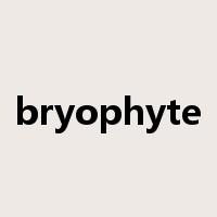 bryophyte是什么意思