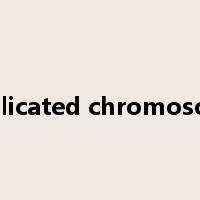 duplicated chromosome是什么意思