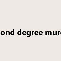 second degree murder是什么意思