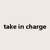 take in charge是什么意思