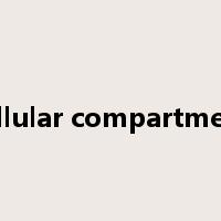 cellular compartment是什么意思
