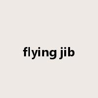 flying jib是什么意思
