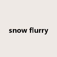 snow flurry是什么意思