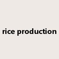 rice production是什么意思