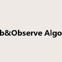 Perturb&Observe Algorithms是什么意思