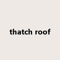 thatch roof是什么意思