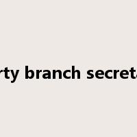 party branch secretary是什么意思
