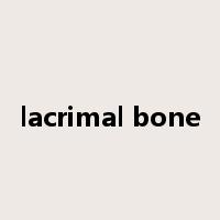 lacrimal bone是什么意思