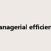 managerial efficiency是什么意思