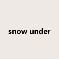 snow under是什么意思