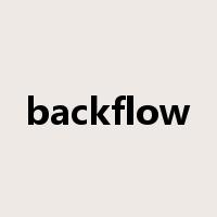 backflow是什么意思